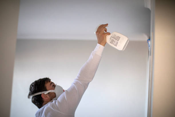 Best Bathroom Mold Remediation in Poydras, LA